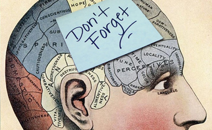 Innovative Idea: เรียนรู้ความลับของสมองสู่การฝังแคมเปญเข้าในหัวผู้บริโภค